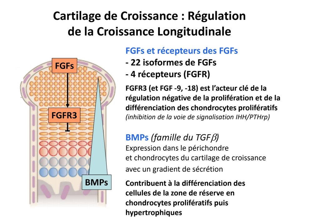 SmartSelect_20230217_214626_Samsung Notes.jpg