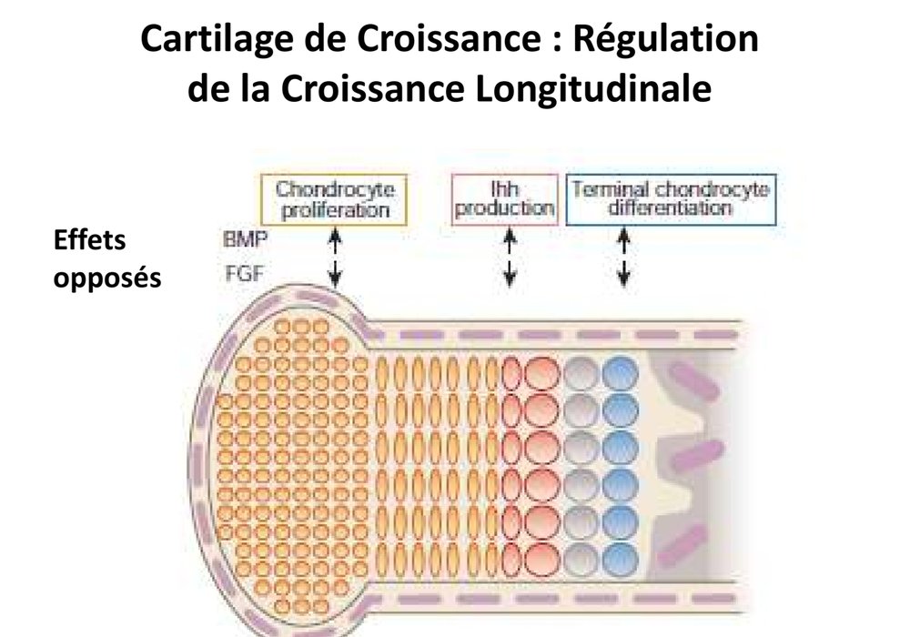 SmartSelect_20230217_215347_Samsung Notes.jpg