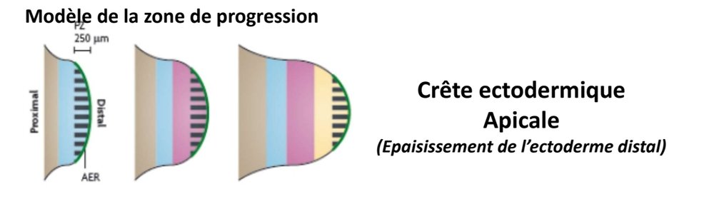 SmartSelect_20230228_001743_Samsung Notes.jpg