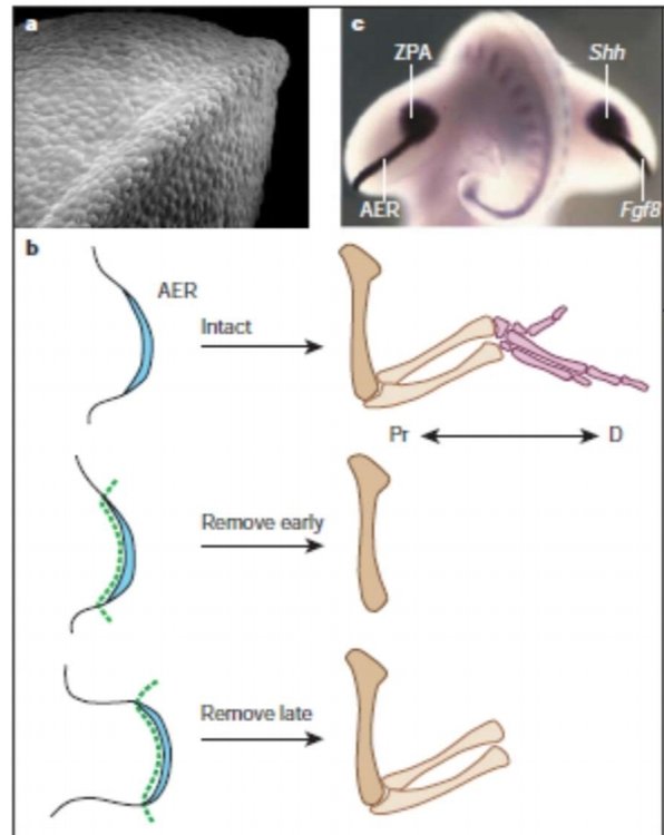SmartSelect_20230228_001812_Samsung Notes.jpg