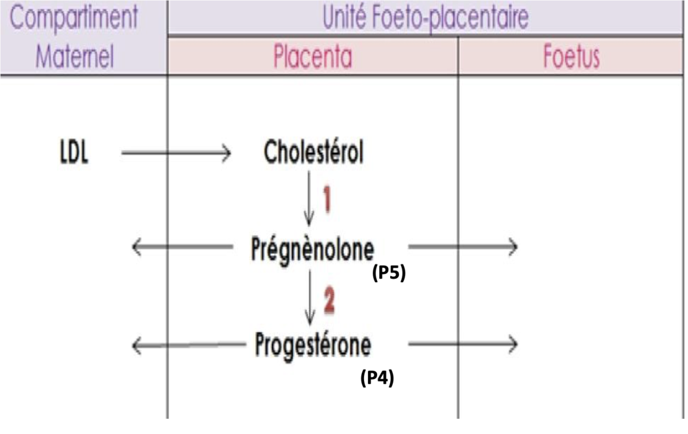 Capture d’écran 2023-03-08 à 10.29.36.png