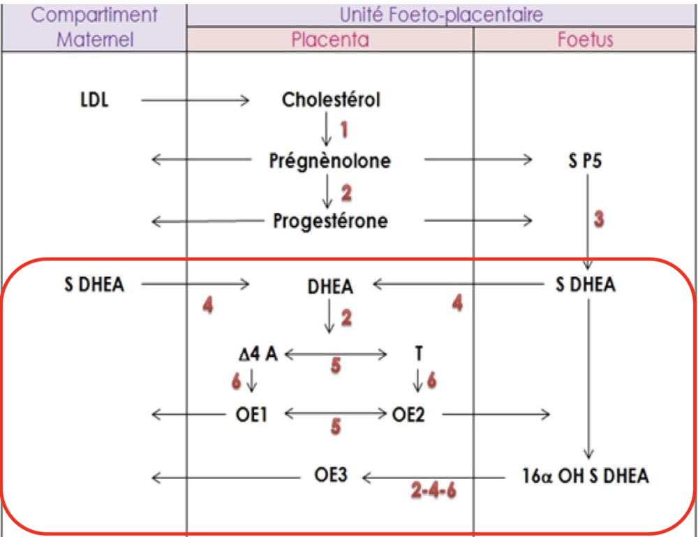 Capture d’écran 2023-03-08 à 10.30.09.png