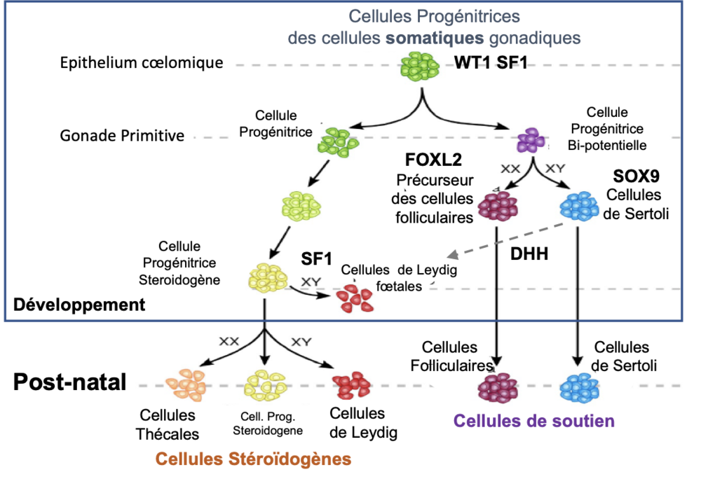 Capture d’écran 2023-03-08 à 18.09.50.png