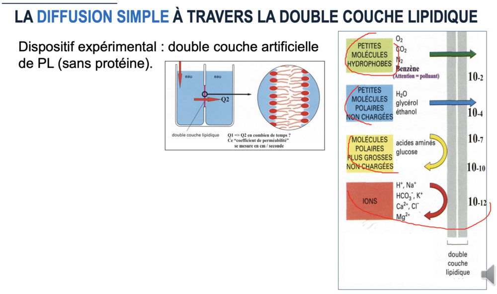 Capture d’écran 2023-03-16 à 18.40.04.png