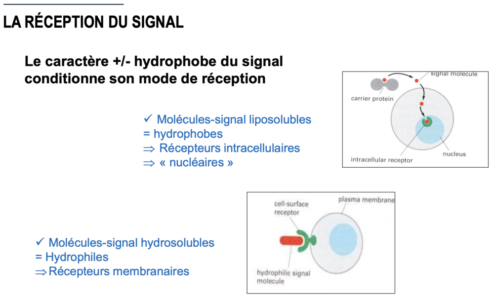 Capture d’écran 2023-03-16 à 18.53.34.png