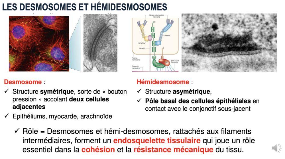 Capture d’écran 2023-03-20 à 16.41.47.png
