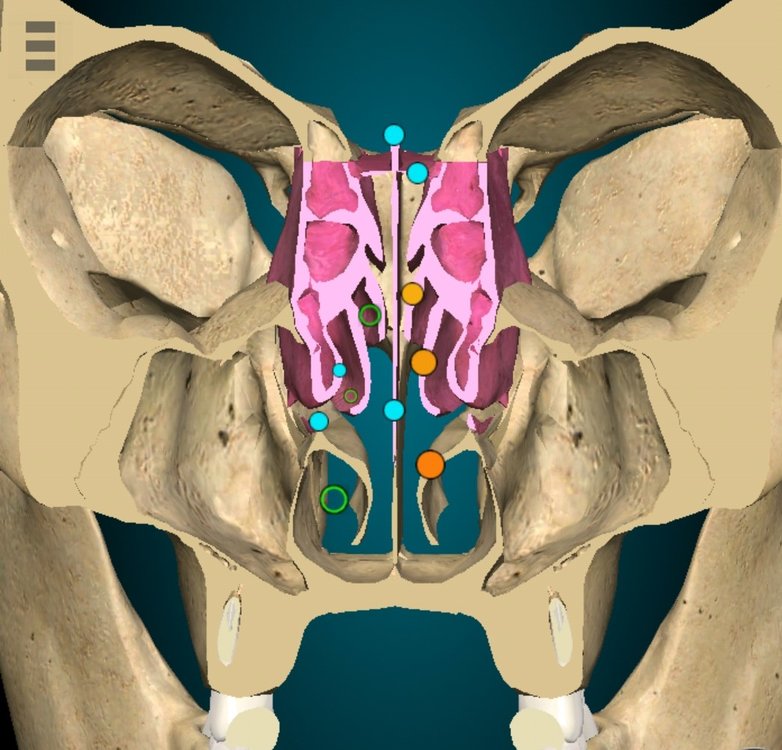 Screenshot_20230304_111133_com.AnatomyLearning.Anatomy3DViewer3 (1).jpg