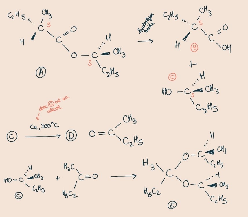 SmartSelect_20230313_135827_Samsung Notes.jpg