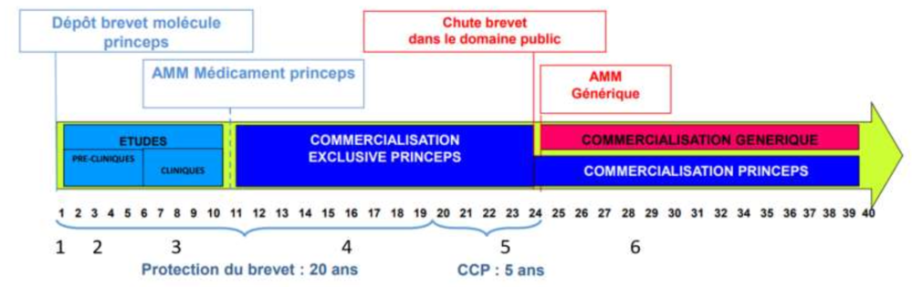 cycle de vie du médicament.png