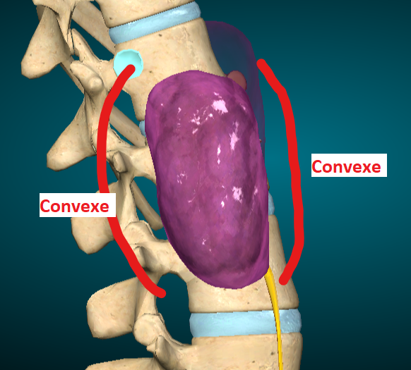 Capture d’écran 2023-05-10 150733.png