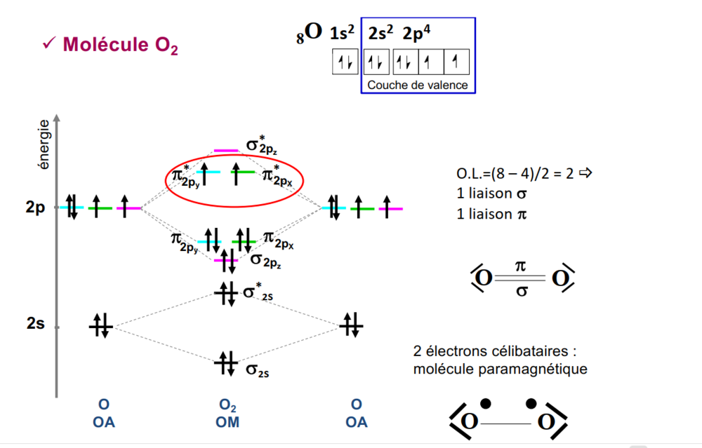Capture d'écran 2023-09-26 193701.png