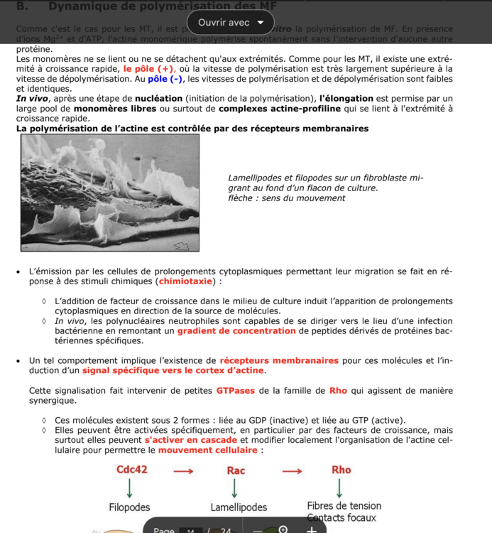 iScreen Shoter - Safari - 230928233122.png