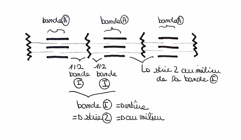 CamScanner 08-10-2023 08.00.jpg