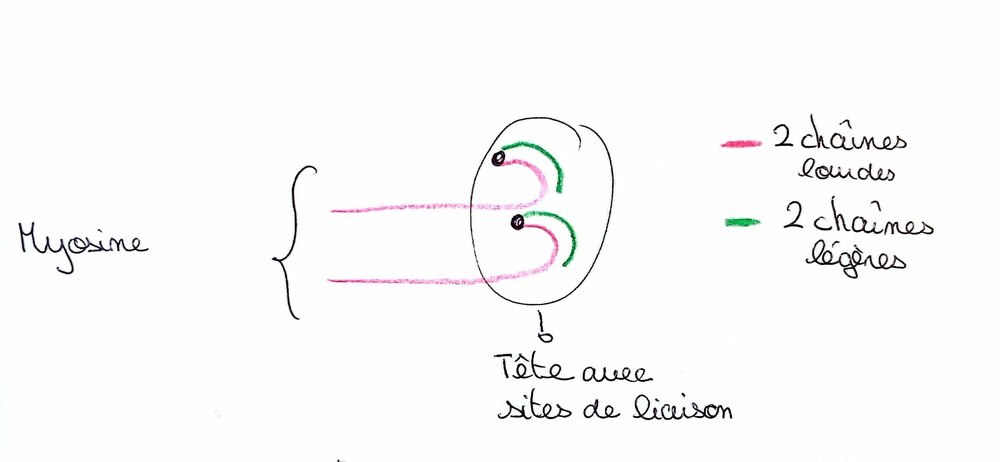 CamScanner 08-10-2023 08.08.jpg