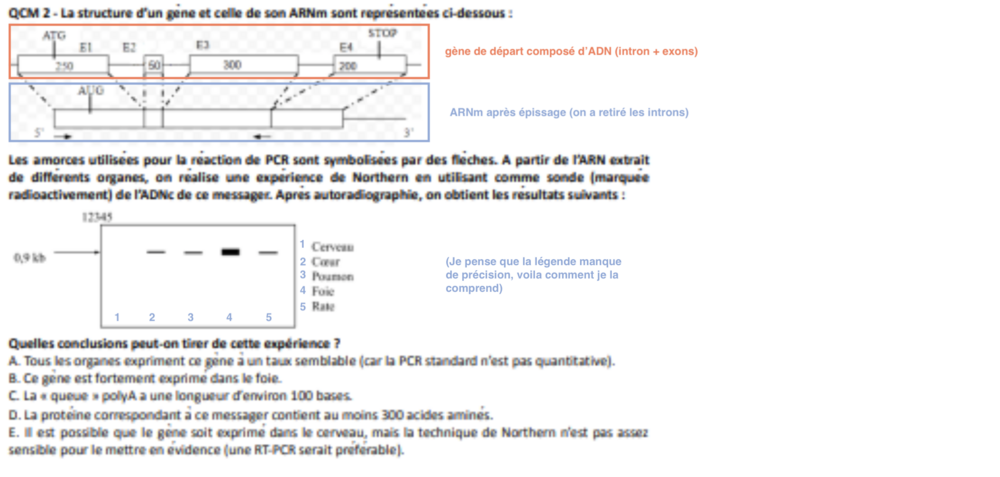 Capture d’écran 2023-10-11 à 18.01.37.png