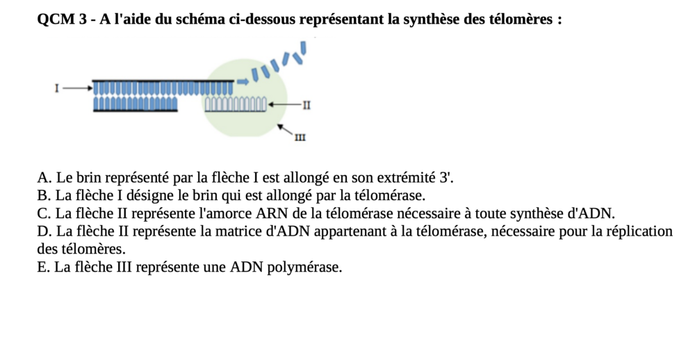 Capture d’écran 2023-10-16 à 21.20.00.png