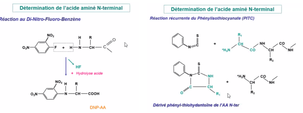 Capture d'écran 2023-10-27 174937 (2).png