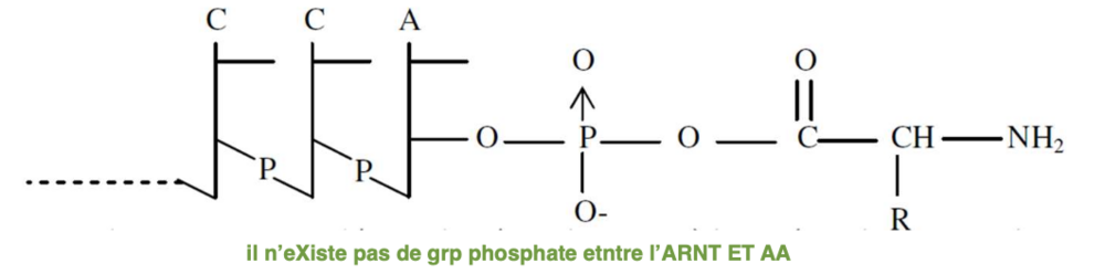 Capture d’écran 2023-10-29 à 19.32.01.png