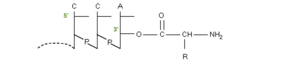 Capture d’écran 2023-10-29 à 19.34.36.png