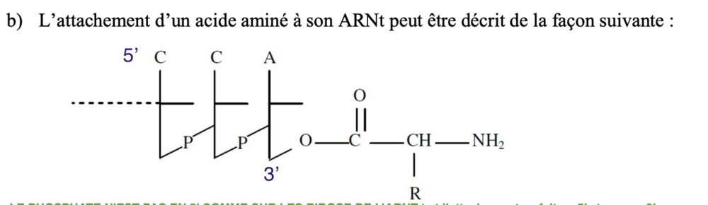 Capture d’écran 2023-10-29 à 19.41.27.png