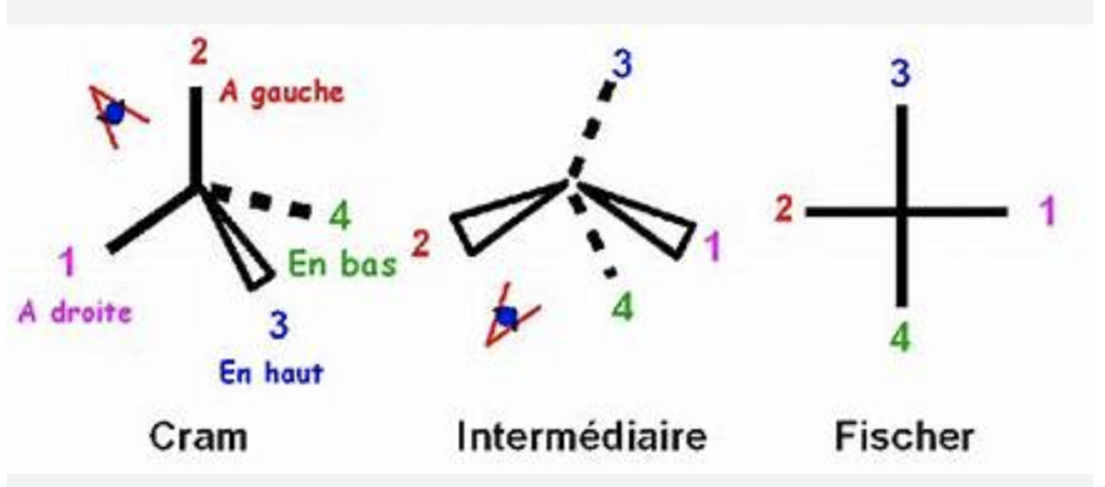Capture d’écran 2023-10-19 à 12.12.23.png