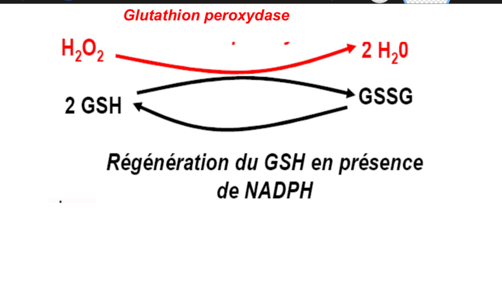 Support Cours Interactions 23oct2023.png.png