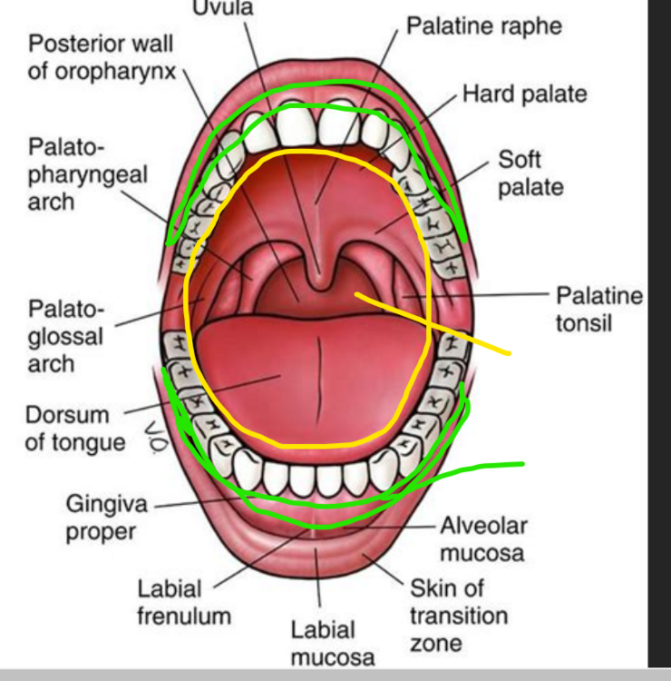 Capture d'écran 2023-11-01 095303.png