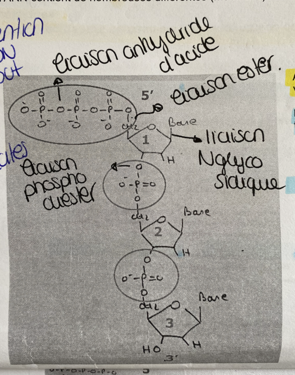 Capture d’écran 2023-11-01 à 16.59.05.png