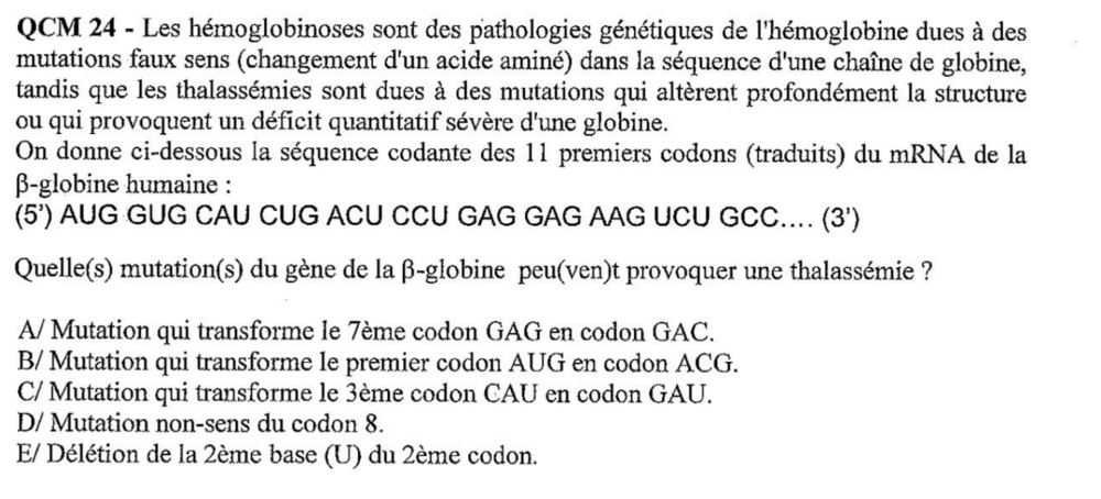 Capture d'écran 2023-11-01 172637.png