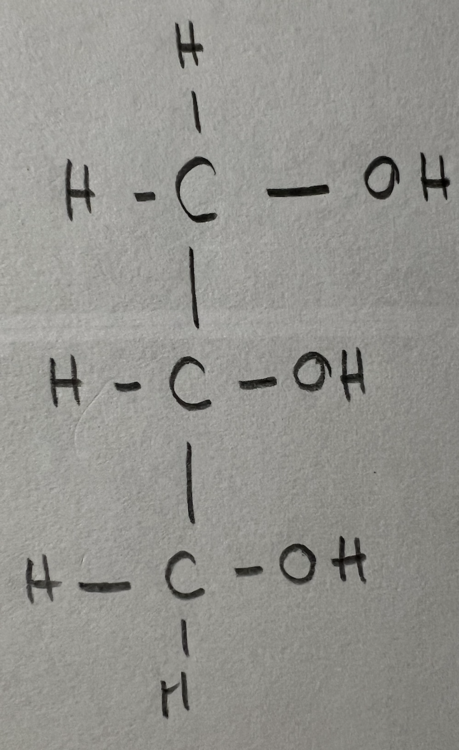 Capture d’écran 2023-11-12 à 16.57.58.png