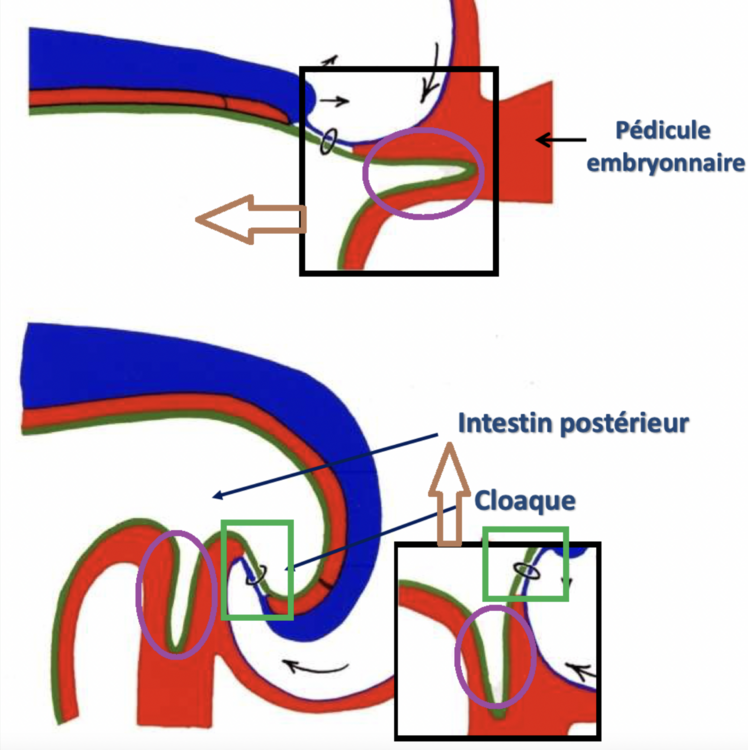 Capture d’écran 2023-11-16 à 12.02.55.png