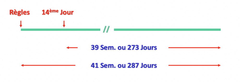 Capture d’écran 2023-11-16 à 16.26.03.png