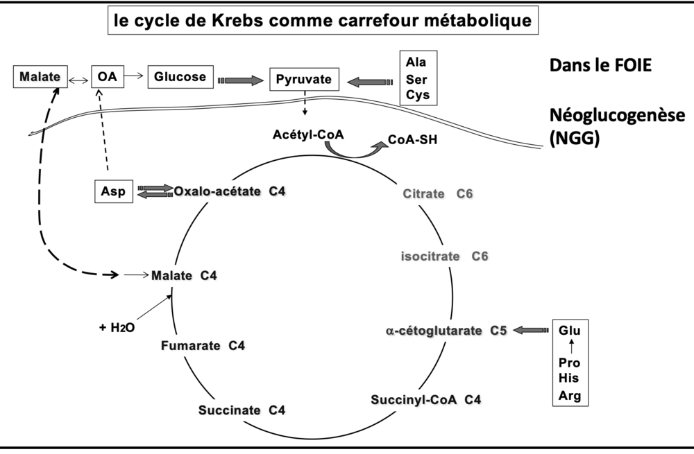 Capture d’écran 2023-11-16 à 22.01.44-min 2.png