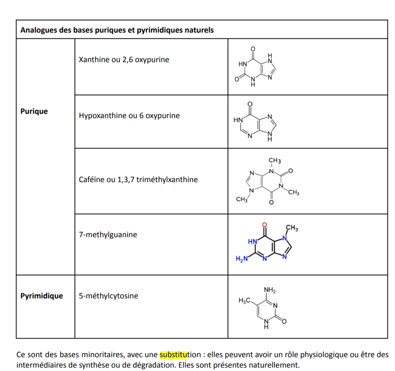 Capture d'écran 2023-11-25 152805.png