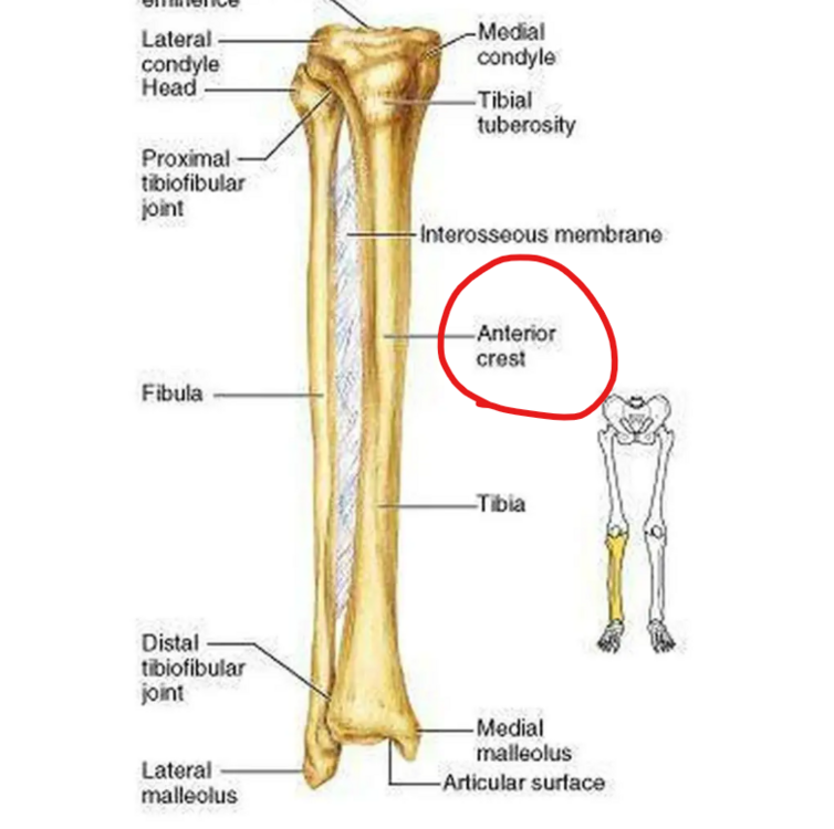 Capture d'écran 2023-12-01 093149.png