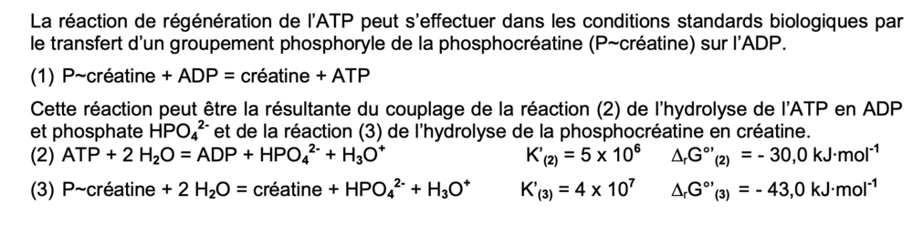 Capture d’écran 2023-12-02 à 19.35.28.png