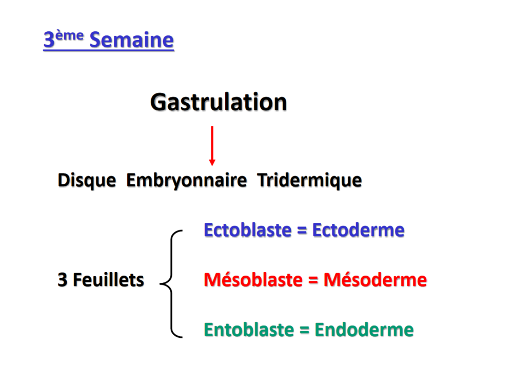 Capture d'écran 2023-12-04 163159.png