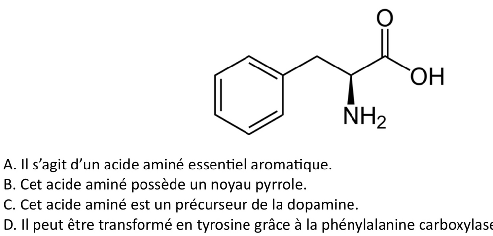 Poly avant bioch.png
