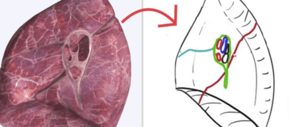 Screenshot 2023-12-11 21.35.44 (1).png