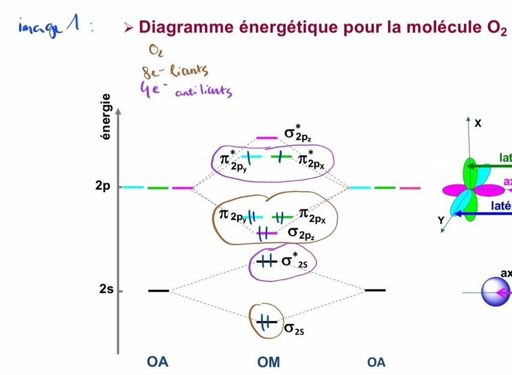 SmartSelect_20231204_224340_Samsung Notes.jpg