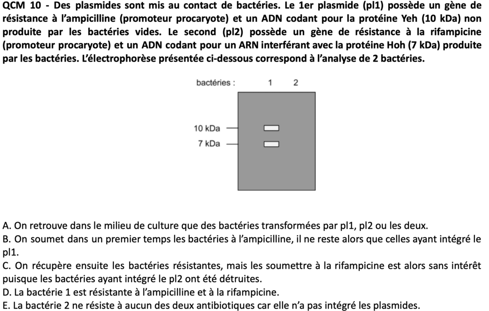 Capture d’écran 2024-01-20 à 21.36.20.png