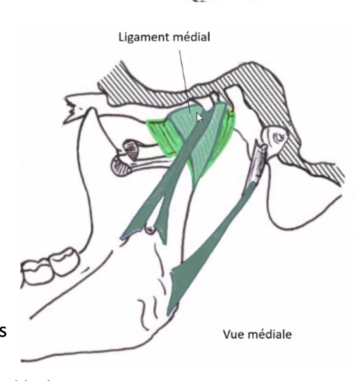 Capture d’écran 2024-01-29 à 13.29.24.png