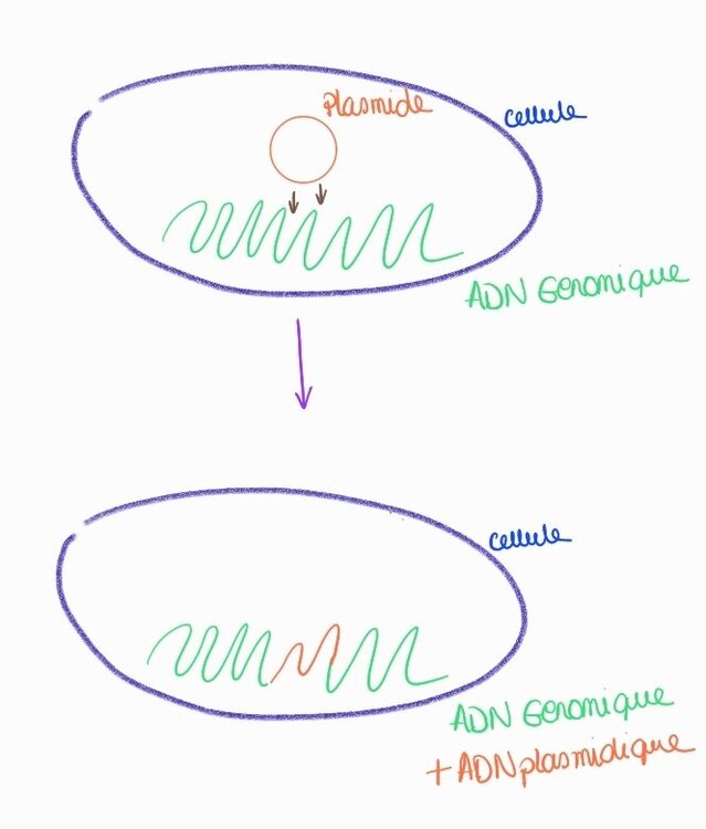 SmartSelect_20240116_193220_Samsung Notes.jpg