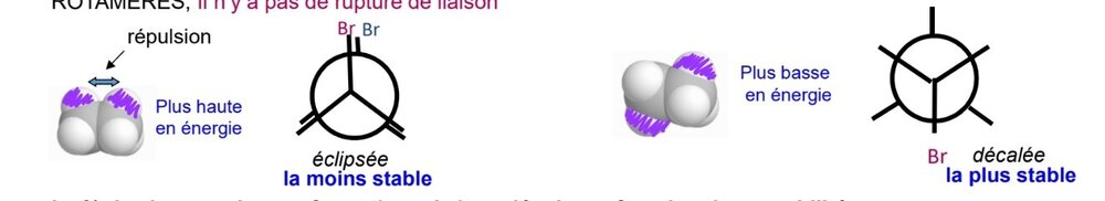 SmartSelect_20240117_225022_Samsung Notes.jpg