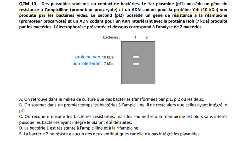 Capture d'écran 2024-02-04 200653.png