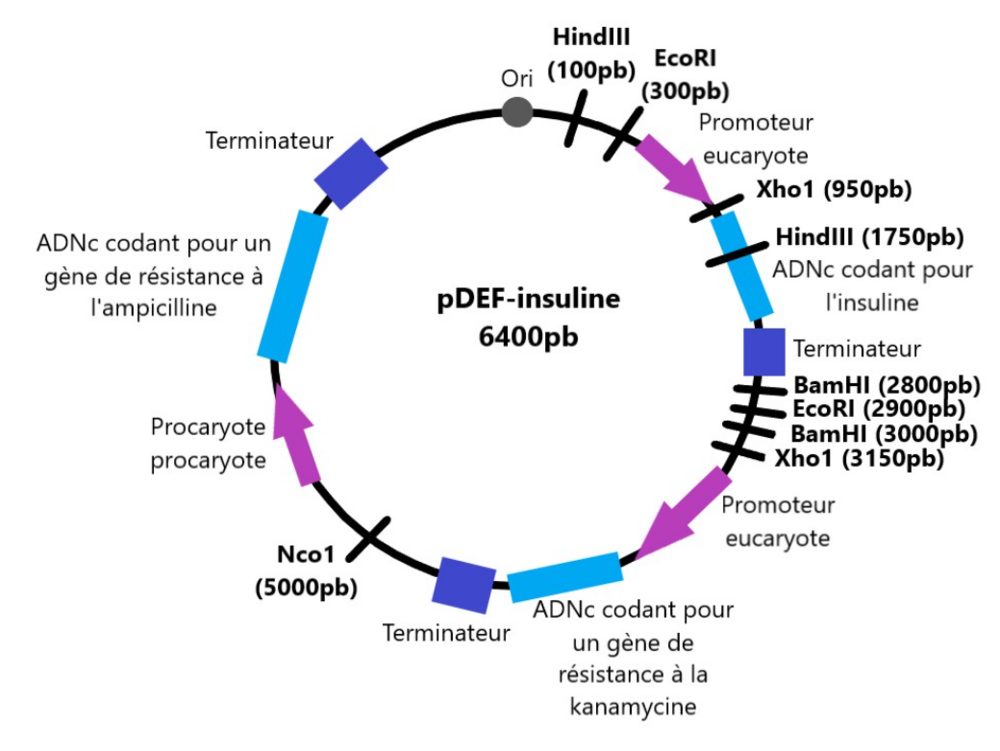 Capture d’écran 2024-02-05 à 18.15.02.png