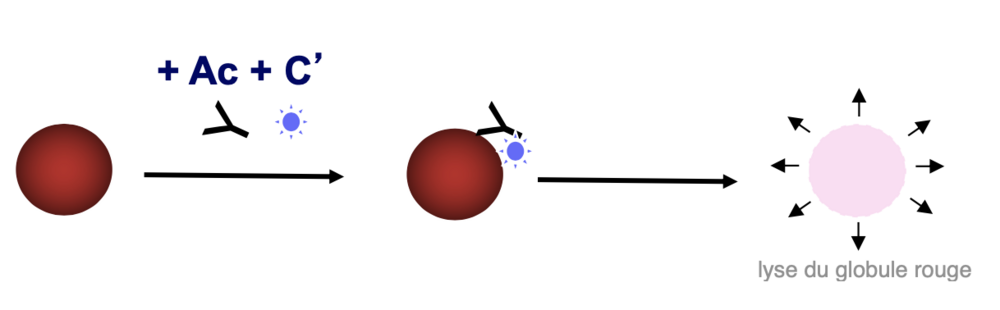 Capture d’écran 2024-02-05 à 18.51.18.png