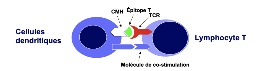 Capture d’écran 2024-02-07 à 08.06.10.png
