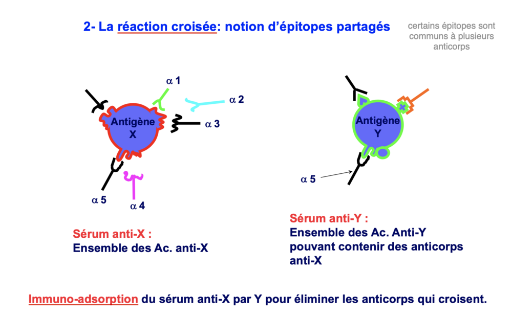 Capture d’écran 2024-02-07 à 09.12.11.png