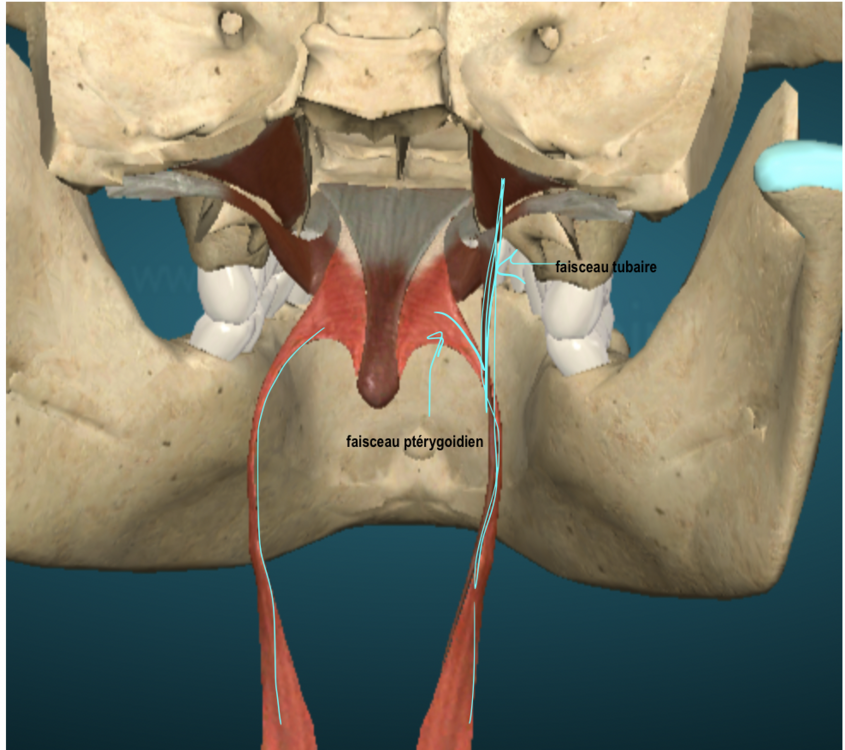 Capture d’écran 2024-02-01 à 11.37.48.png